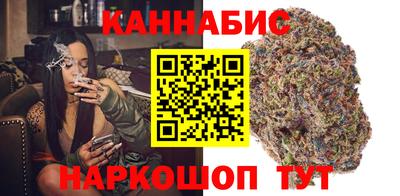 прущие крисы Будённовск