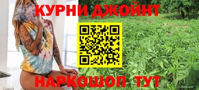 прущие крисы Будённовск